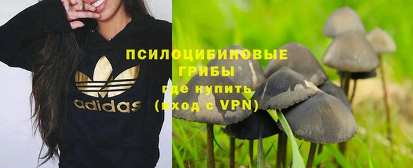таблы Осташков