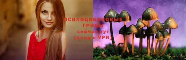 индика Кохма