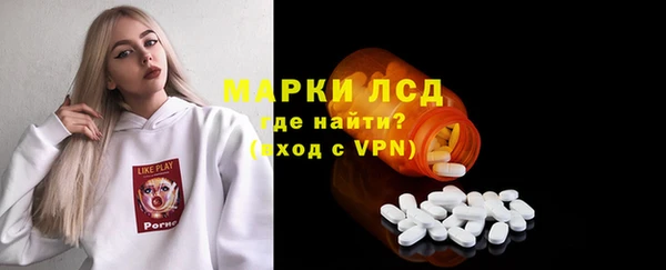 индика Кохма